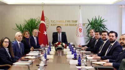 Enerji ve Tabii Kaynaklar Bakanı Alparslan Bayraktar, Avrupa İmar ve