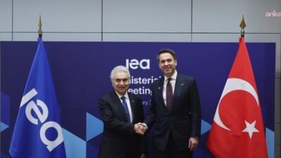 Enerji ve Tabii Kaynaklar Bakanı Alparslan Bayraktar, Uluslararası Enerji Ajansı