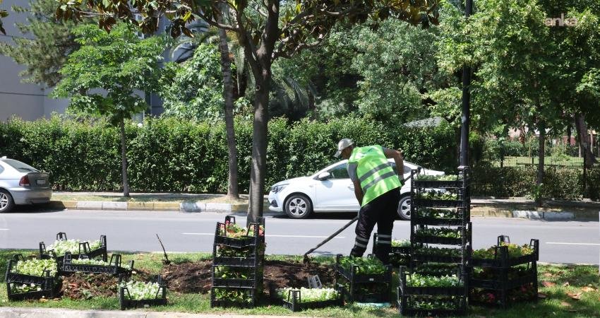 Bakırköy Belediyesi, Park ve Bahçeler Müdürlüğü koordinasyonunda 2025 yılında ilçe