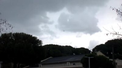 Balıkesir’in Burhaniye ilçesinde, sabah ve akşam saatlerinde binlerce karganın şehir