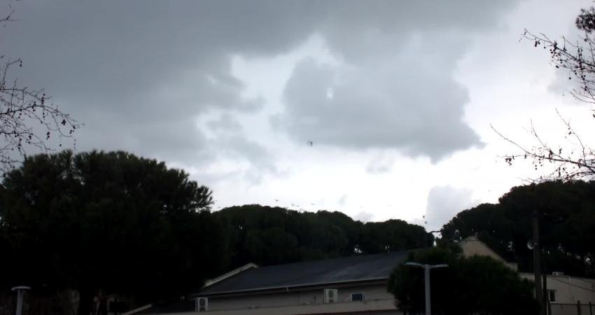 Balıkesir’in Burhaniye ilçesinde, sabah ve akşam saatlerinde binlerce karganın şehir