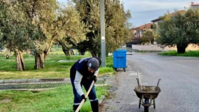 Burhaniye Belediyesi Park ve Bahçeler Müdürlüğü ekipleri, ilçe genelinde yeşil