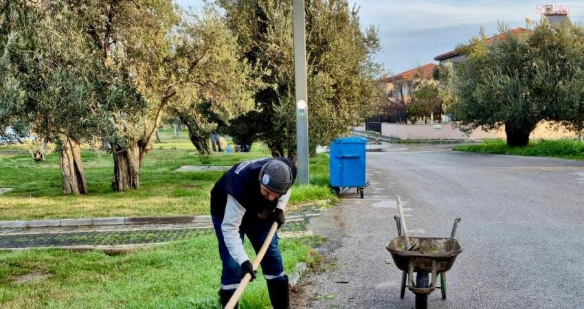 Burhaniye Belediyesi Park ve Bahçeler Müdürlüğü ekipleri, ilçe genelinde yeşil