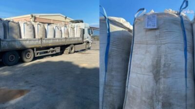 Türkiye'nin en önemli zeytin üretim merkezlerinden biri olan Balıkesir'in Burhaniye