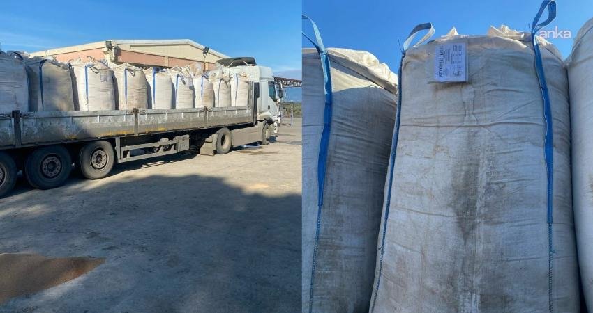 Türkiye'nin en önemli zeytin üretim merkezlerinden biri olan Balıkesir'in Burhaniye