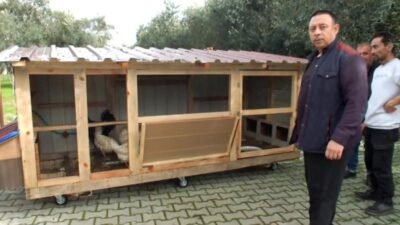 Balıkesir’in Burhaniye ilçesinde bakkallık yapan Mustafa Zeybek seyyar tavuk kümesi