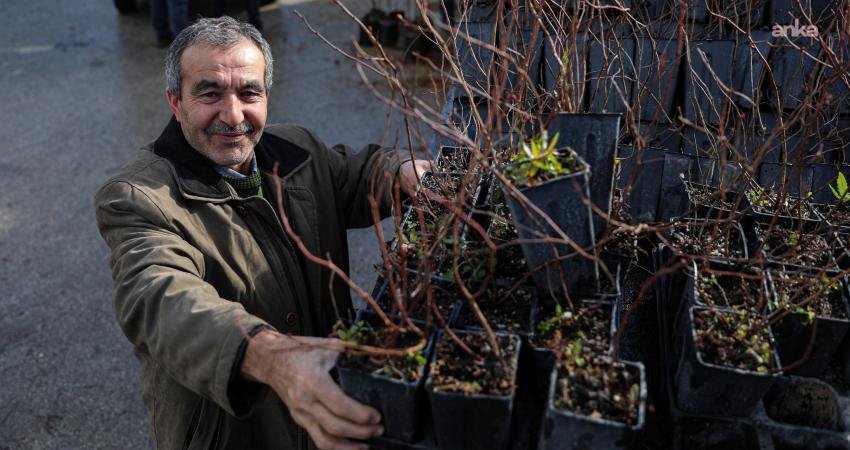 Bursa Büyükşehir Belediyesi, kırsal kalkınma hedefleri doğrultusunda fide ve fidan