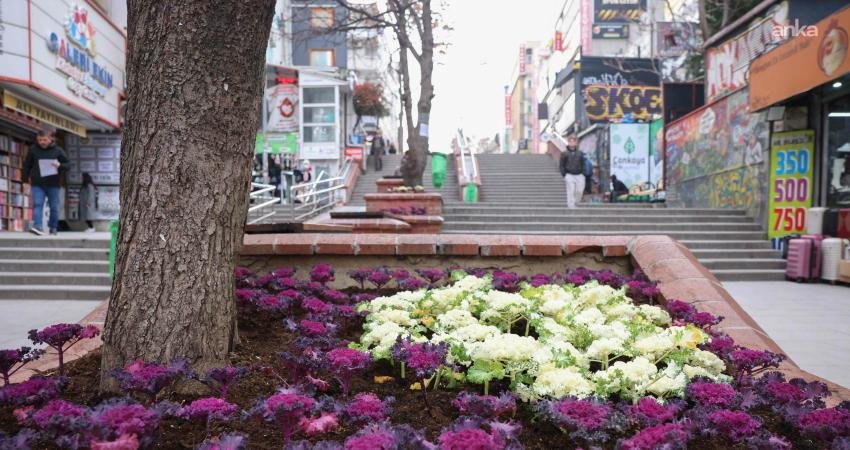 Çankaya Belediyesi’nin Uğur Mumcu Parkı içerisinde yer alan Çansera tesislerinde