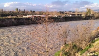 Osmaniye'nin Kadirli ilçesinde yurttaşlar, aşırı yağışların ardından Savrun Çayı'nın sürüklediği ağaçları