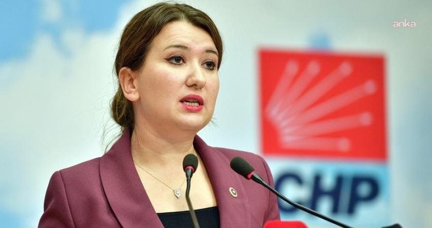 CHP  Genel Başkan Yardımcısı Gökçe Gökçen, Milli Dayanışma Kardeşlik