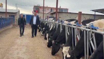 CHP Niğde Milletvekili Ömer Fethi Gürer, Niğde'de süt üreticisi Bülent
