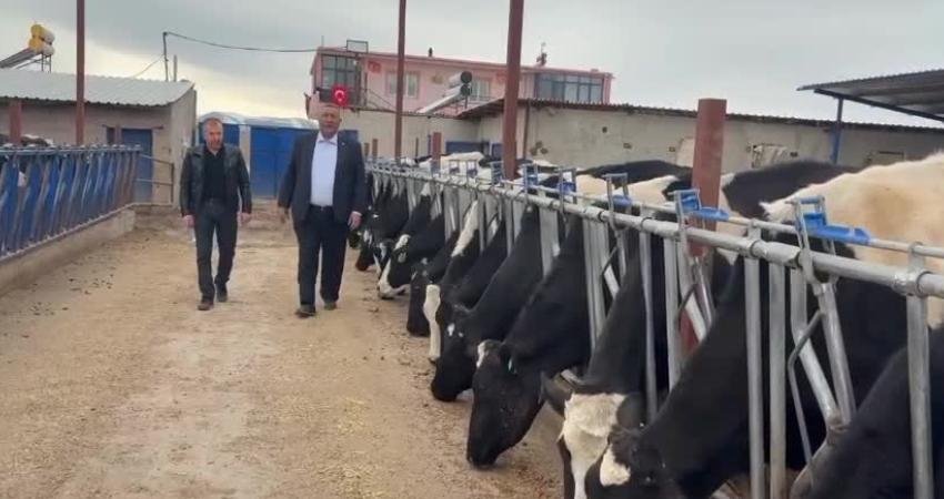 CHP Niğde Milletvekili Ömer Fethi Gürer, Niğde'de süt üreticisi Bülent