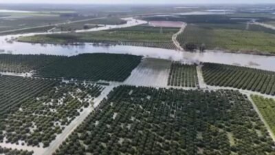 CHP Adana Milletvekili Ayhan Barut, Adana'da son dönemde etkili olan