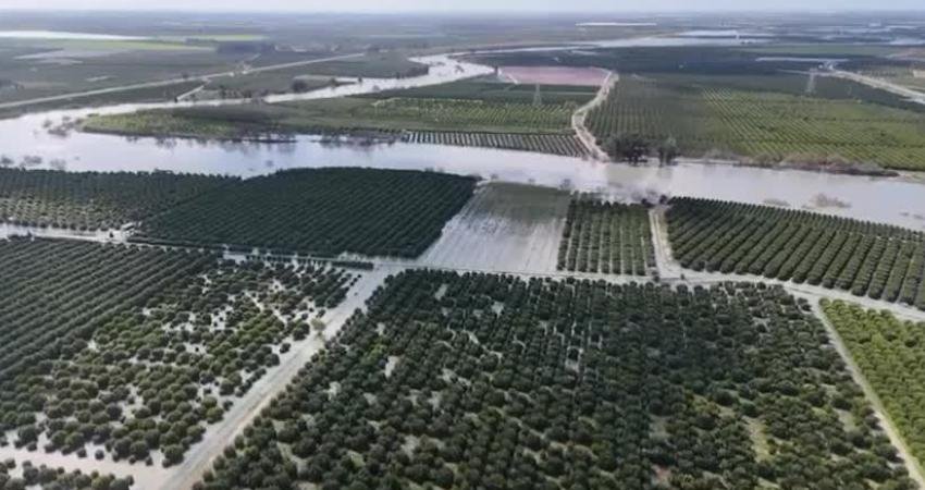 CHP’li Barut: “İktidar bir an önce Adana’da mağduriyet yaşayan çiftçilerin ve vatandaşların zararlarını karşılamalı” CHP Adana Milletvekili Ayhan Barut, Adana'da son dönemde etkili olan