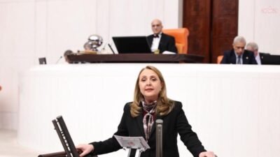 CHP Ankara Milletvekili Semra Dinçer, bir günde 6 kadının erkek