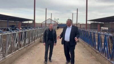 CHP Niğde Milletvekili Ömer Fethi Gürer, “2019 yılında bir hayvanın