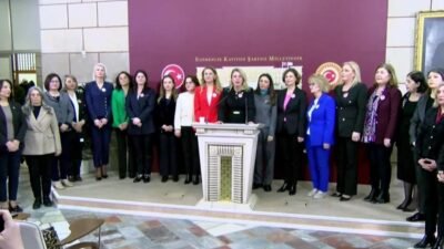 CHP Kadın Kolları Genel Başkanı Asu Kaya, Türk Medeni Kanunu'nun