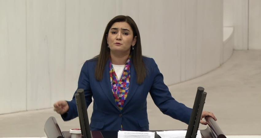 CHP İzmir Milletvekili Sevda Erdan Kılıç, Epstein belgelerindeki iddiaların Türkiye