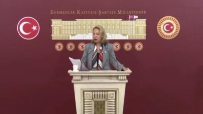 CHP Muğla Milletvekili ve Parti Meclisi üyesi Süreyya Öneş Derici,