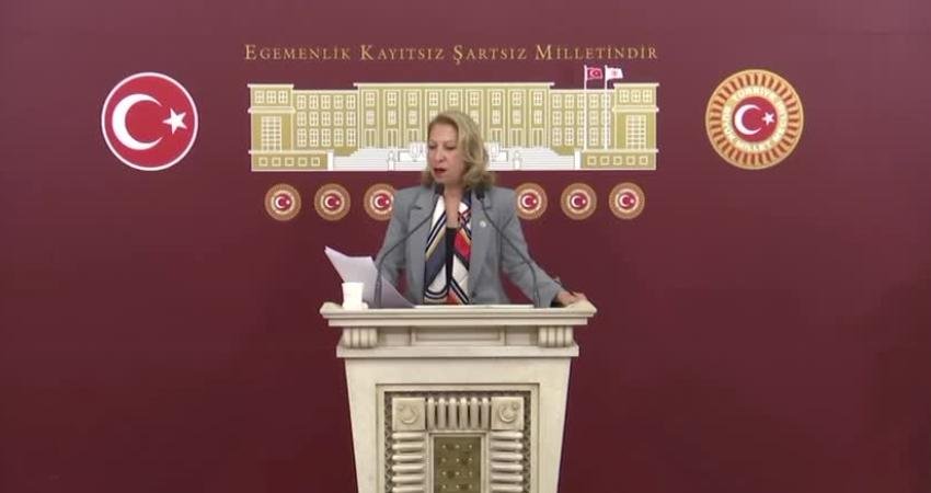 CHP’li Süreyya Öneş Derici’den Milli Parklar Kanunu teklifine tepki: Milli parklar sıradan kamu arazileri değildir CHP Muğla Milletvekili ve Parti Meclisi üyesi Süreyya Öneş Derici,