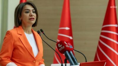 CHP Çalışma ve Sosyal Güvenlik Politika Kurulu Başkanı Gamze Taşcıer, "Bütçe,