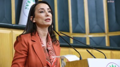 DEM Parti Eş Genel Başkanı Tülay Hatimoğulları, ABD'de açıklanan Epstein dosyalarında