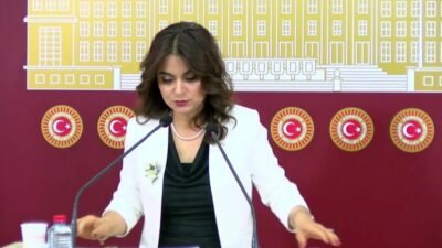 DEM Parti Grup Başkanvekili Gülistan Kılıç Koçyiğit, Milli Dayanışma, Kardeşlik ve