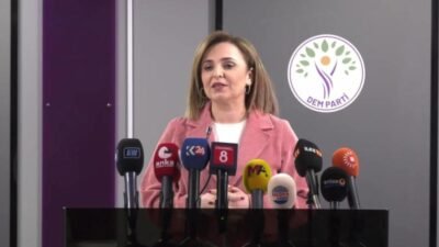 DEM Parti Sözcüsü Ayşegül Doğan, TBMM Milli Dayanışma, Kardeşlik ve