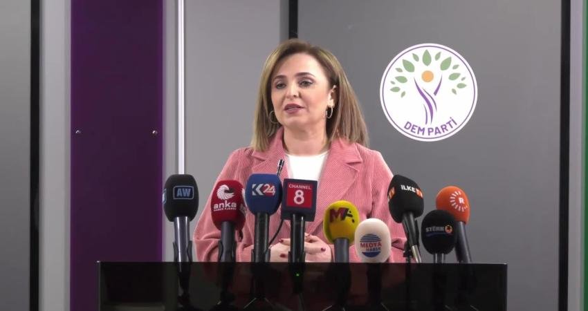 DEM Parti Sözcüsü Ayşegül Doğan, TBMM Milli Dayanışma, Kardeşlik ve