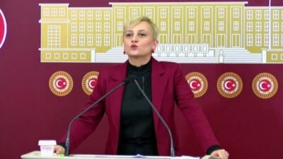 DEM Parti Mersin Milletvekili Perihan Koca, yeni bakan atamalarına ilişkin