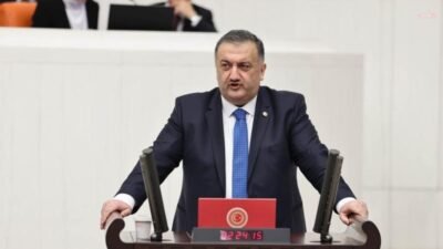 DEVA Partisi Genel Başkan Yardımcısı ve İstanbul Milletvekili Hasan Karal,