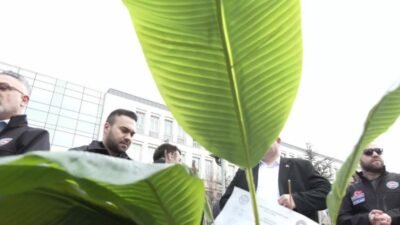 Devlet Memurları Konfederasyonu üyeleri, "kağıt israfına balta vuruyoruz" sloganıyla eylem yaptı.