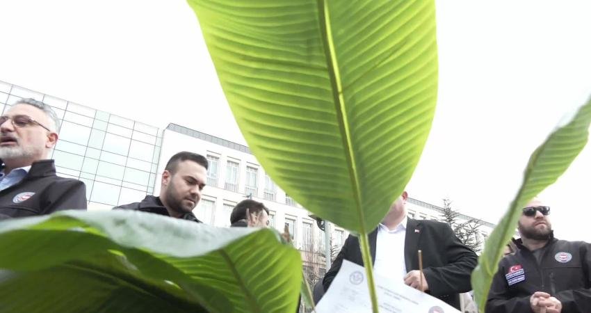 Devlet Memurları Konfederasyonu üyeleri, "kağıt israfına balta vuruyoruz" sloganıyla eylem yaptı.