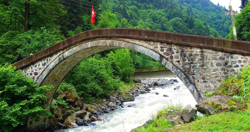 Doğa Derneği, Rize’nin Çamlıhemşin ilçesinde bulunan Fırtına Vadisi’nin koruma statüsünün