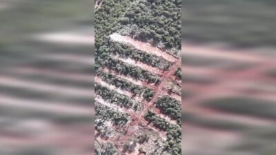 Doğa Derneği, birden fazla koruma statüsüne sahip olmasına rağmen izinsiz