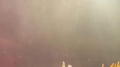 Doğa Koruma ve Milli Parklar Genel Müdürlüğü, Samsun'da bir iş yerinde, CITES