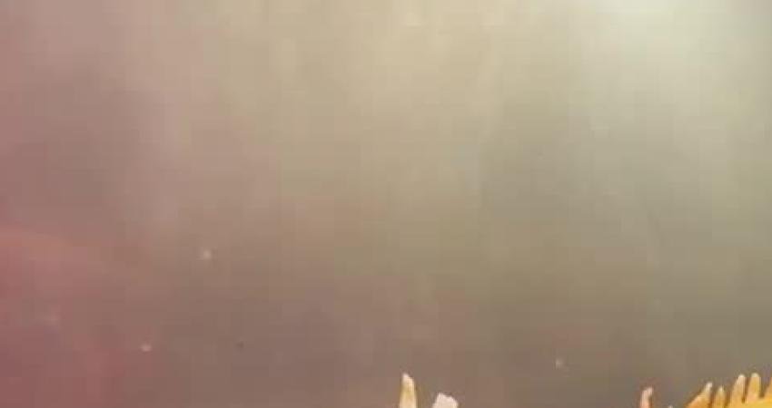 Doğa Koruma ve Milli Parklar Genel Müdürlüğü, koruma altındaki 3 egzotik hayvana el koydu Doğa Koruma ve Milli Parklar Genel Müdürlüğü, Samsun'da bir iş yerinde, CITES