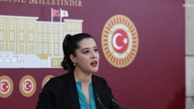 Emek Partisi (EMEP) Gaziantep Milletvekili Sevda Karaca, Kuzeydoğu Suriye’de kamplardan