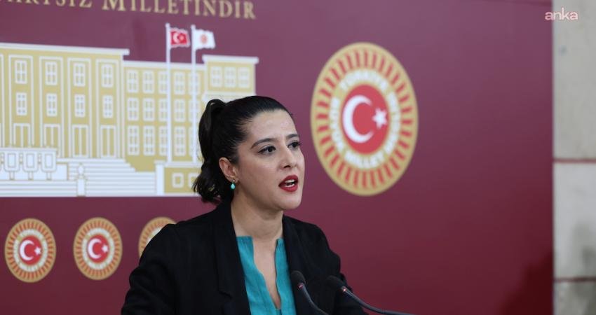 Emek Partisi (EMEP) Gaziantep Milletvekili Sevda Karaca, Kuzeydoğu Suriye’de kamplardan