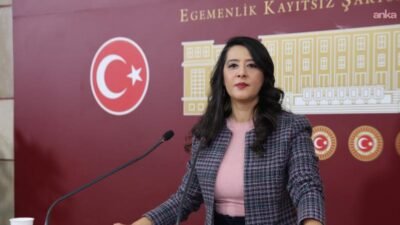 Emek Partisi (EMEP) Gaziantep Milletvekili Sevda Karaca, gazeteci Alican Uludağ