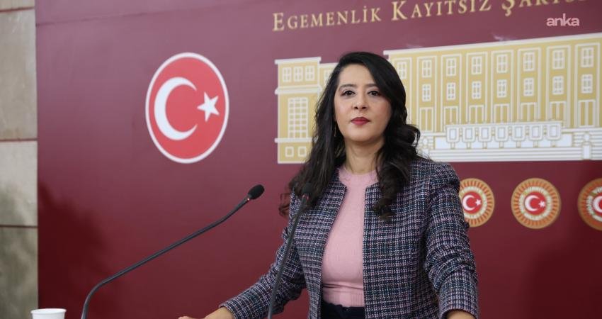 Emek Partisi (EMEP) Gaziantep Milletvekili Sevda Karaca, gazeteci Alican Uludağ