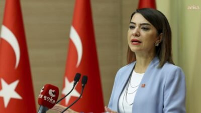 CHP Çalışma ve Sosyal Güvenlik Politika Kurulu Başkanı Gamze Taşcıer,