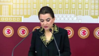 DEM Parti Grup Başkanvekili Gülistan Kılıç Koçyiğit, Mürşitpınar sınır kapısının