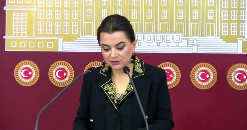 DEM Parti Grup Başkanvekili Gülistan Kılıç Koçyiğit, Mürşitpınar sınır kapısının