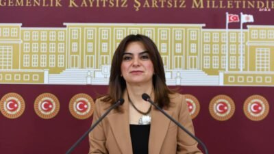 DEM Parti Grup Başkanvekili Gülistan Kılıç Koçyiğit, gazeteci Alican Uludağ'ın