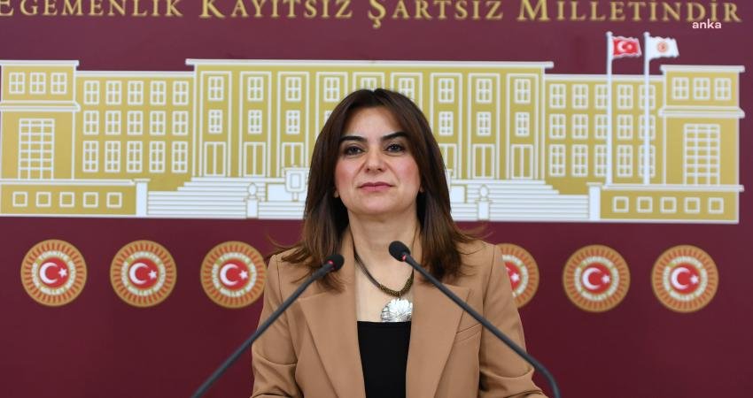 DEM Parti Grup Başkanvekili Gülistan Kılıç Koçyiğit, gazeteci Alican Uludağ'ın