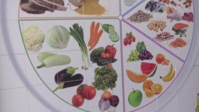 Sabri Ülker Vakfı Bilim Kurulu Üyesi, Hacettepe Üniversitesi Beslenme ve Diyetetik Bölüm Başkanı