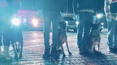 İçişleri Bakanlığı, Van ve Hakkari’de uyuşturucu madde imalatçıları ve satıcılarına