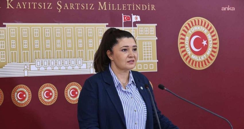 İYİ Parti Tekirdağ Milletvekili Selcan Taşçı, Gazeteci Alican Uludağ'ın gözaltına
