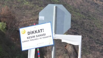 İzmir Büyükşehir Belediyesi, Ödemiş’te Çamyayla-Horzum yolunda orman yangınlarının ardından kesilen